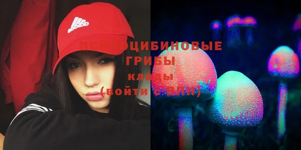 стафф Абаза