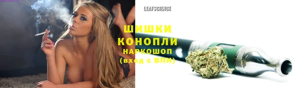 стафф Абаза