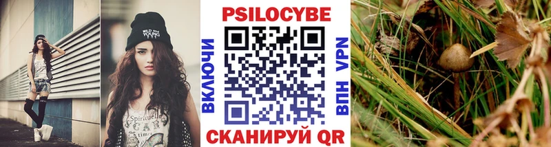 Псилоцибиновые грибы мухоморы  blacksprut зеркало  Одинцово 